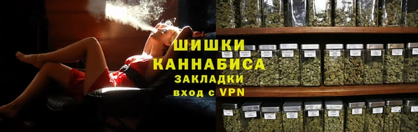 PSILOCYBIN Новозыбков