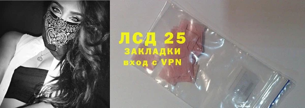 стаф Новокубанск