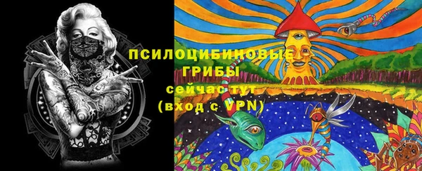 a pvp Новодвинск