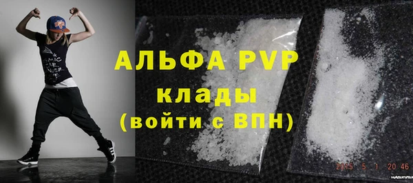 стаф Новокубанск