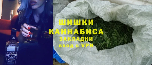 PSILOCYBIN Новозыбков
