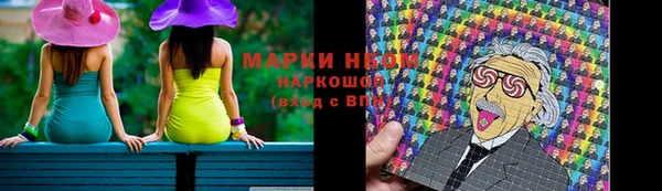 стаф Новокубанск