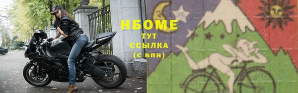 стаф Новокубанск