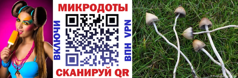 Галлюциногенные грибы Psilocybe  сайты даркнета клад  Красноярск 