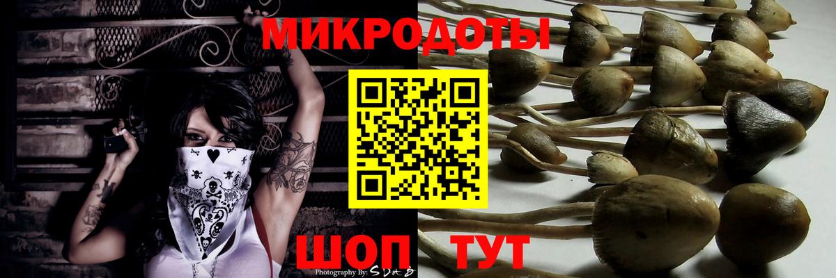 Псилоцибиновые грибы MAGIC MUSHROOMS  Галлюциногенные грибы GOLDEN TEACHER  Красноярск 