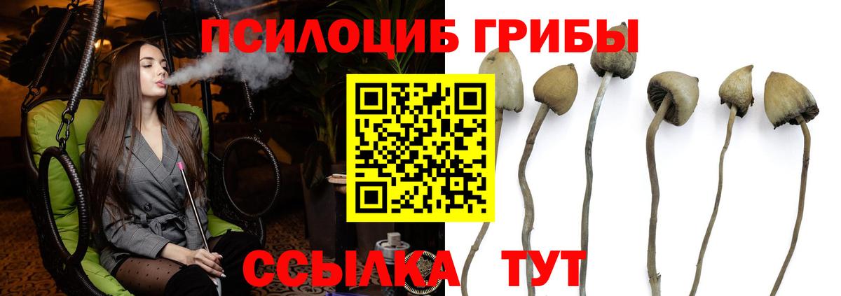 Красноярск  Псилоцибиновые грибы прущие грибы  Вход с VPN  купить закладку  Псилоцибиновые грибы мицелий 